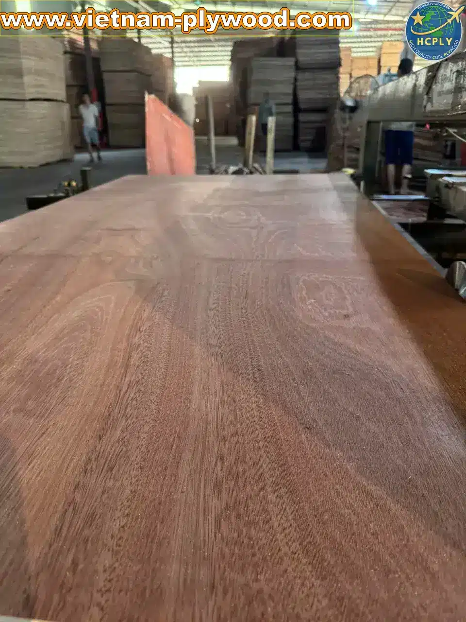 gurjan plywood vietnam premium export grade hcply
