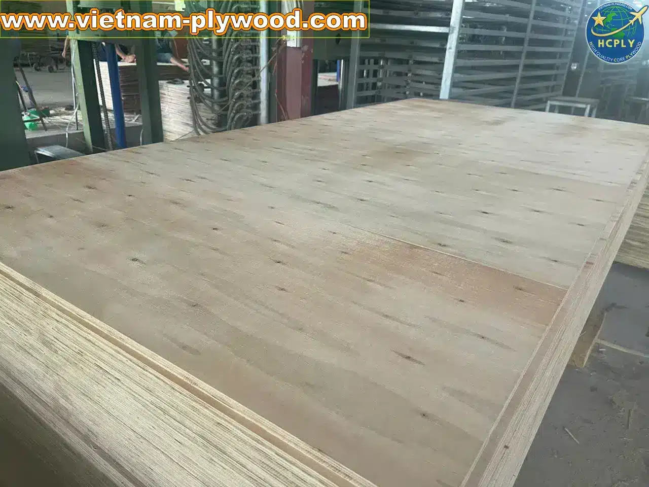 matt finish plywood vietnam export quality hcply