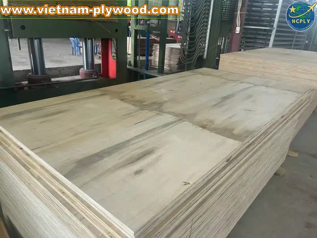 matt finish plywood vietnam export quality hcply