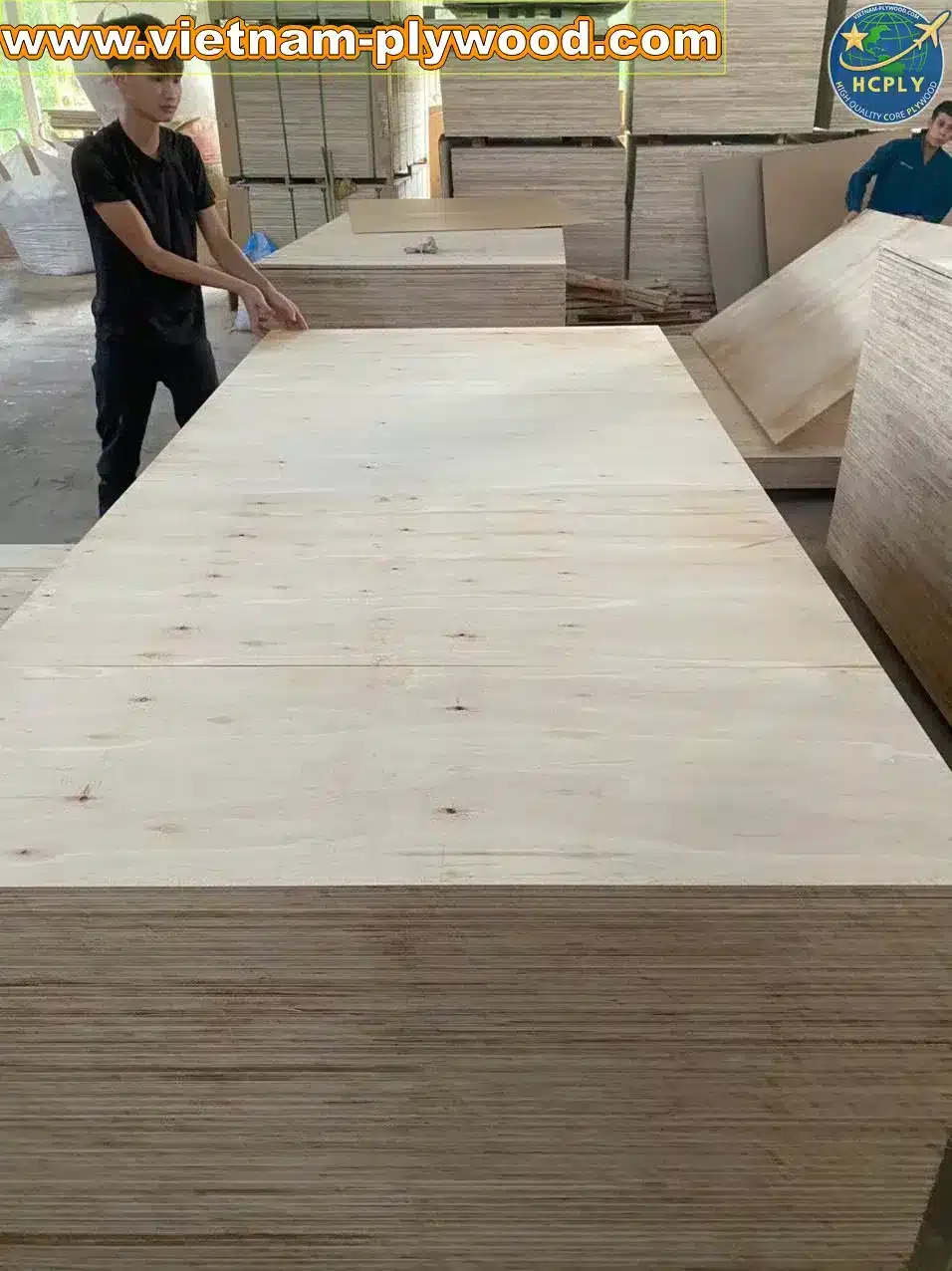 matt finish plywood vietnam export quality hcply
