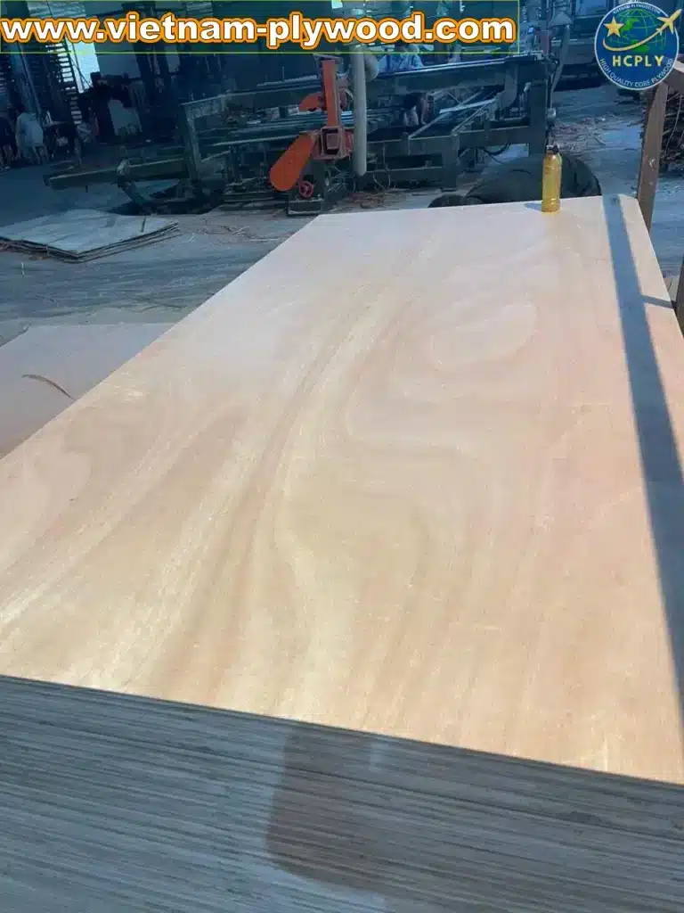 Okoume Plywood Vietnam factory – lightweight plywood manufacturer for export