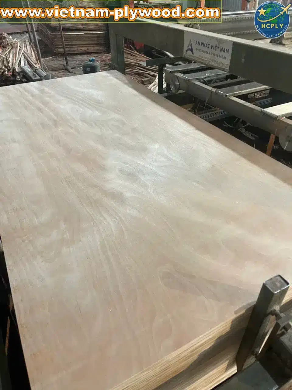 Vietnam Plywood Companies Supplying the Indian