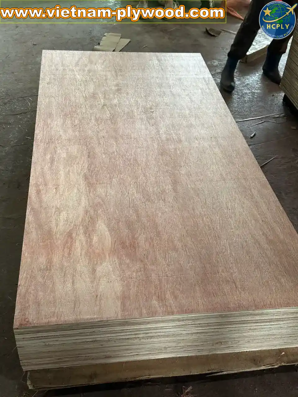 packing plywood low cost export vietnam factory hcply