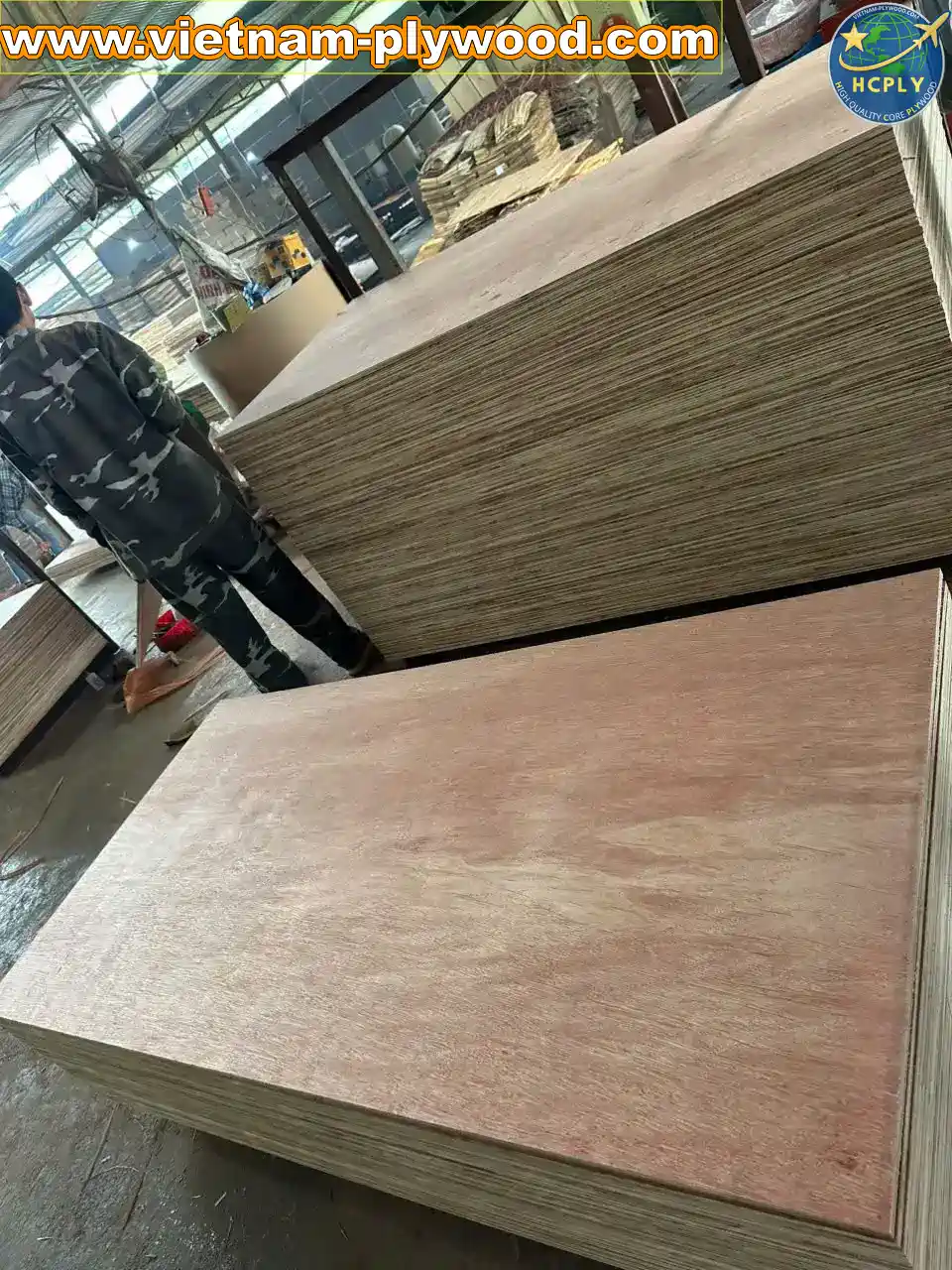 packing plywood low cost export vietnam factory hcply