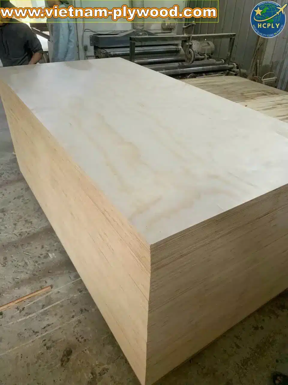 pine plywood vietnam softwood core export hcply