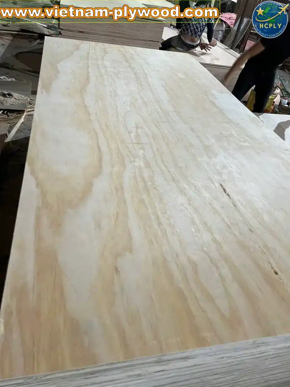 pine plywood vietnam softwood core export hcply