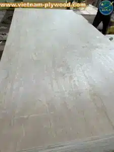 pine plywood vietnam softwood core export hcply