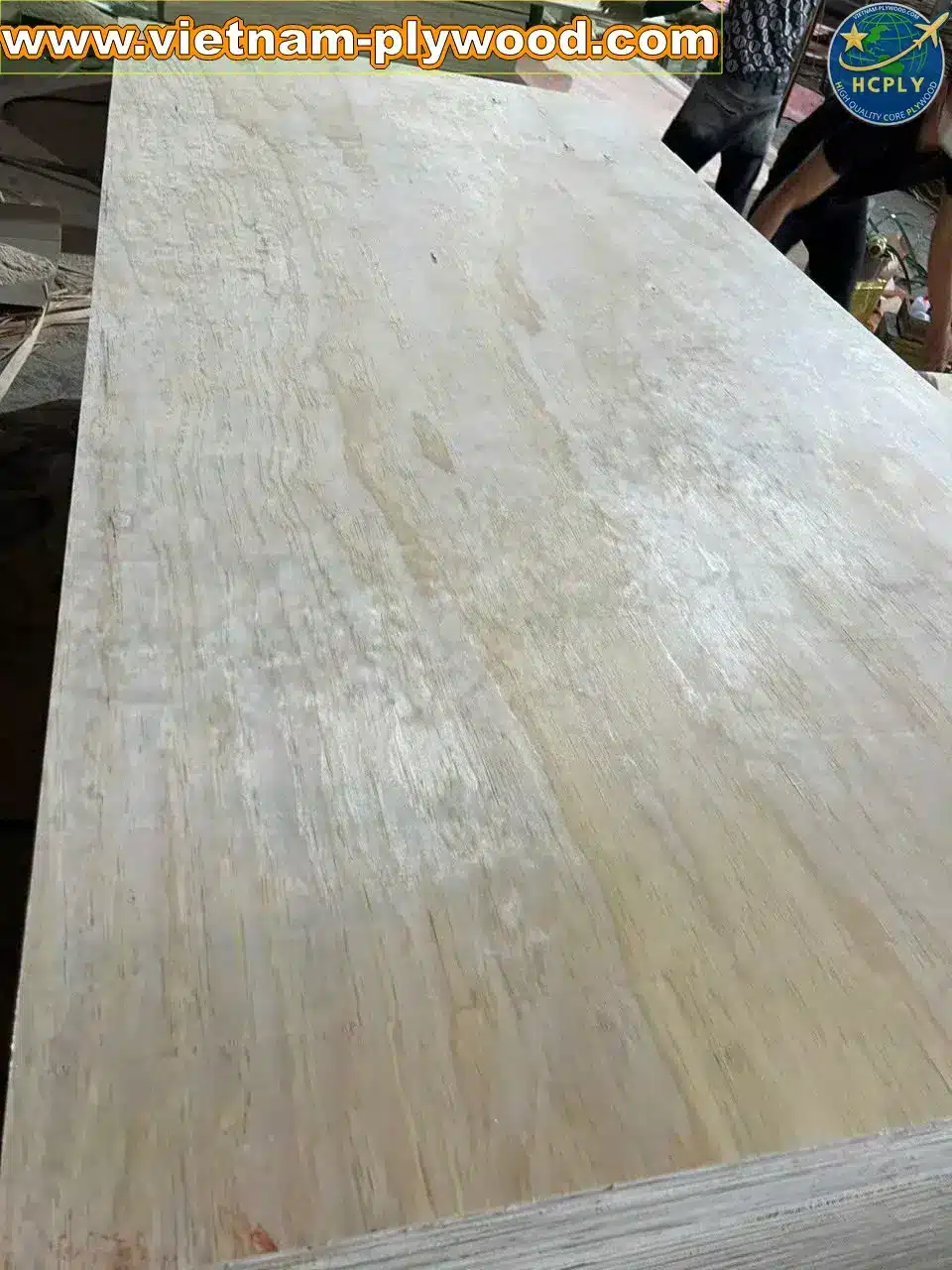 pine plywood vietnam softwood core export hcply