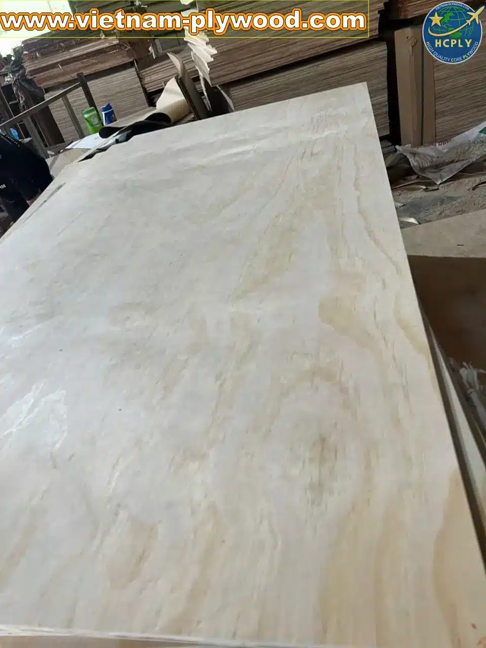 pine plywood vietnam softwood core export hcply