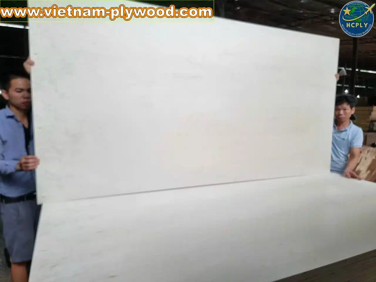 poplar plywood white core vietnam export hcply