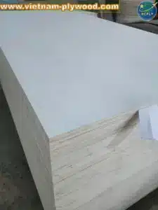 poplar plywood white core vietnam export hcply