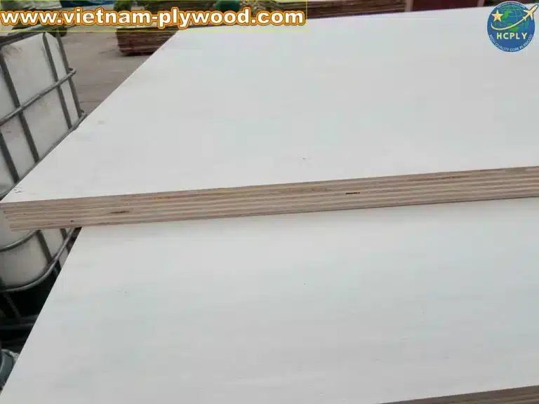 poplar plywood white core vietnam export hcply
