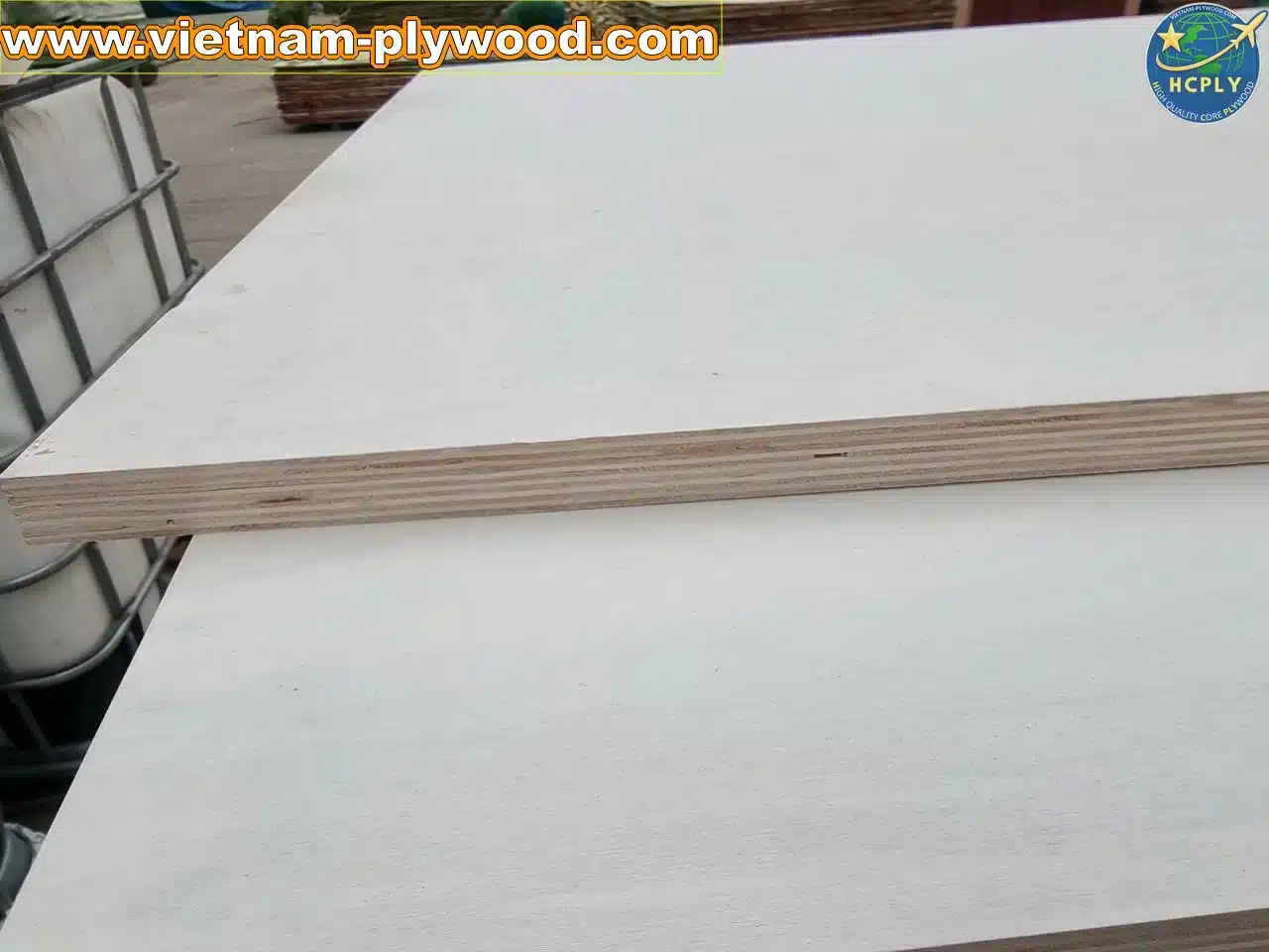 poplar plywood white core vietnam export hcply