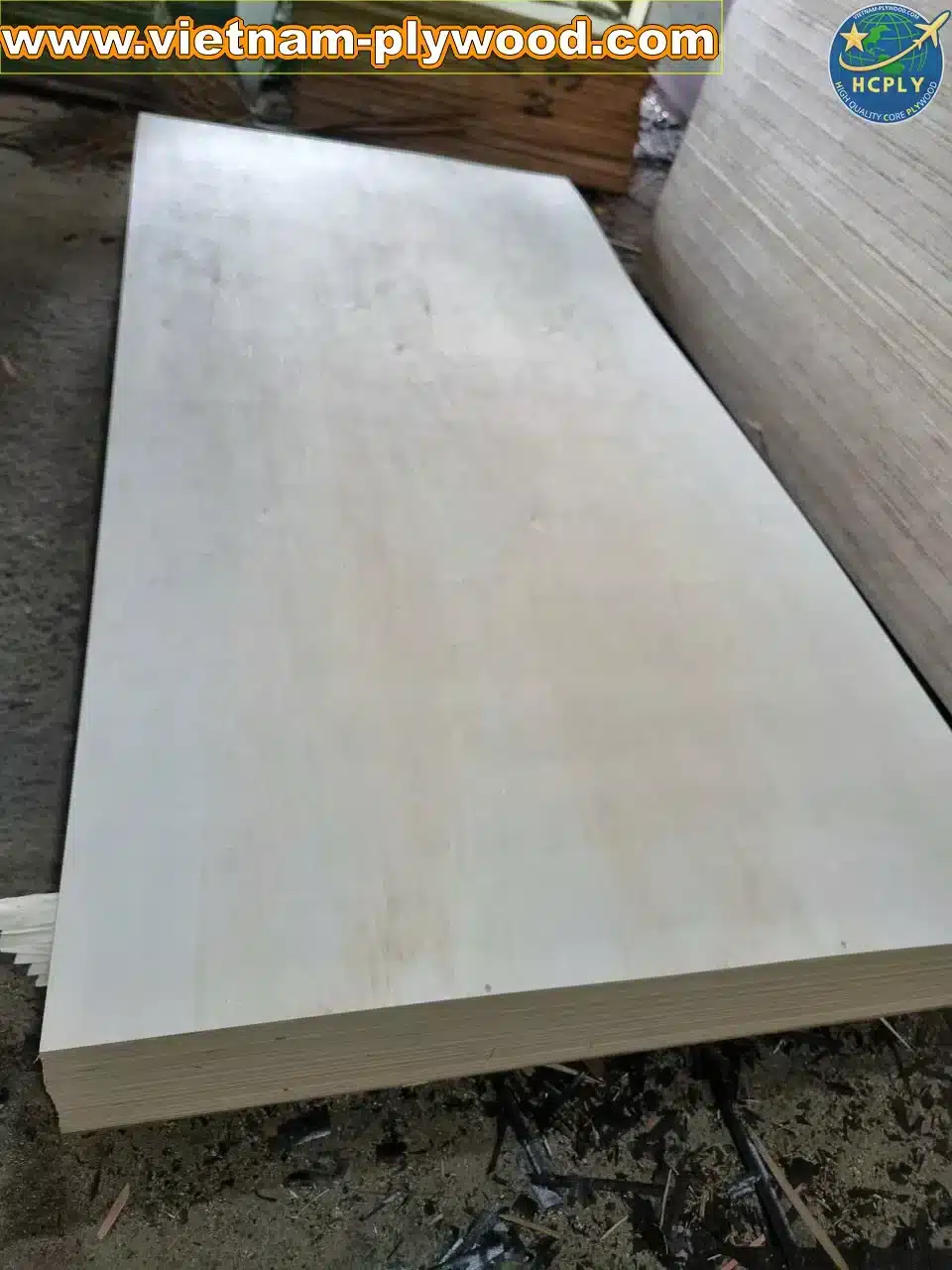 poplar veneer plywood white core vietnam export hcply