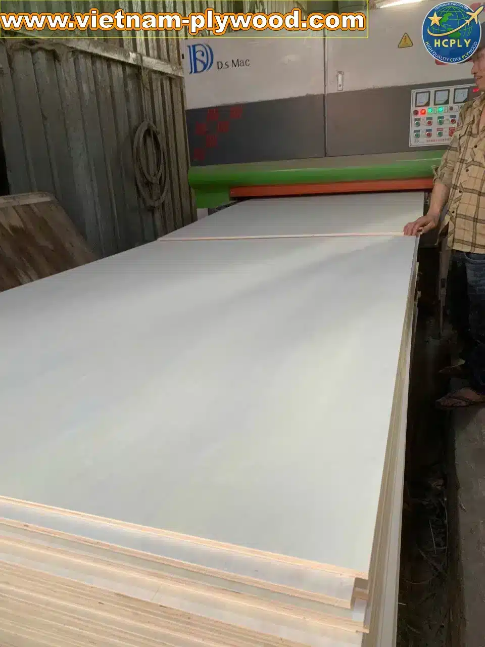 poplar plywood white core vietnam export hcply