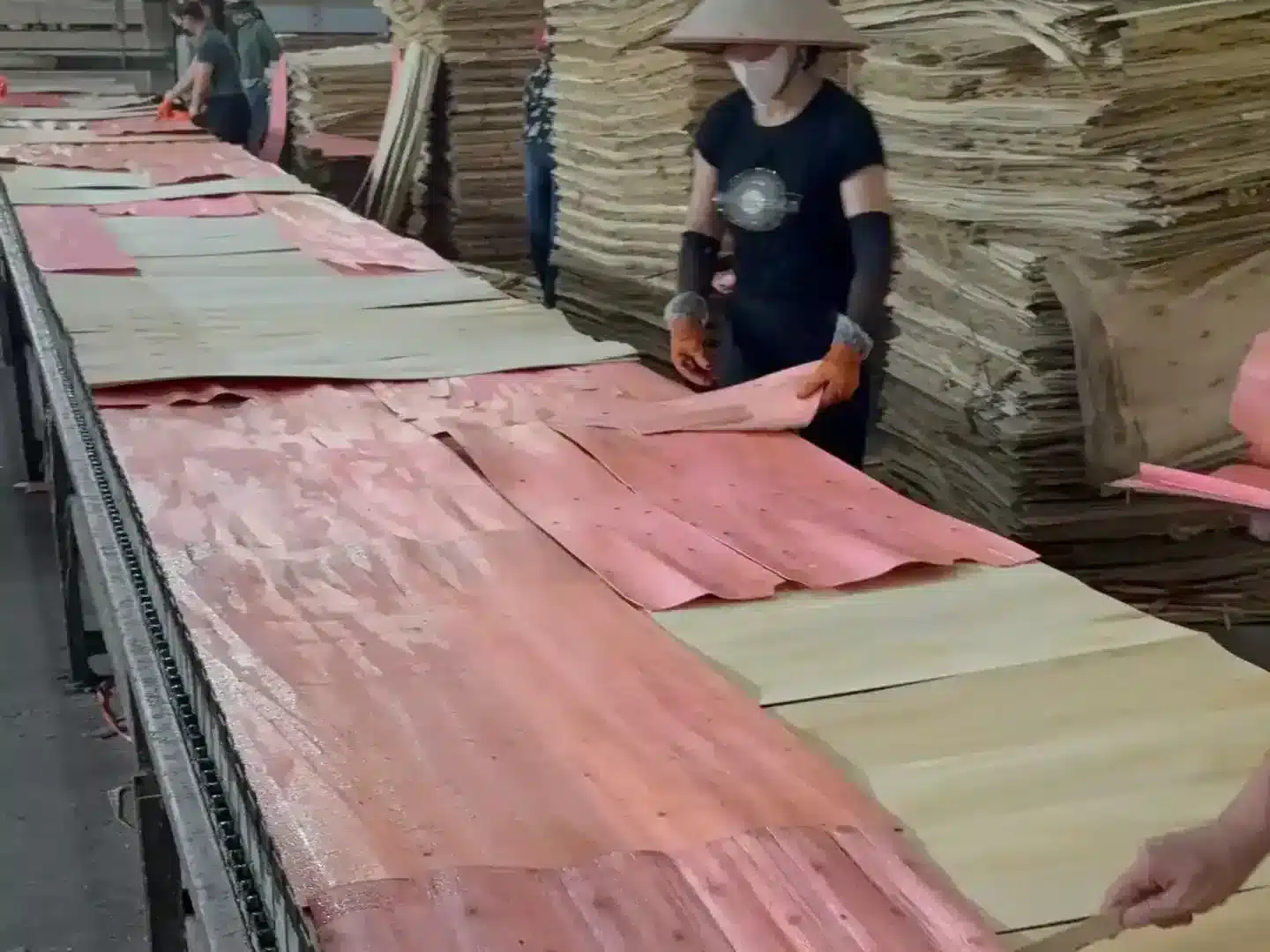 plywood sheet manufacturing vietnam plywood factory hcply